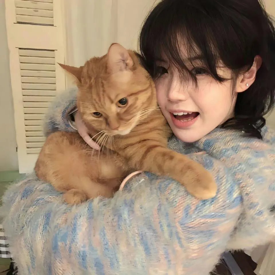 来自天国的加油声